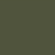 RAL-6003-olive-green-lacquered-ash.jpg